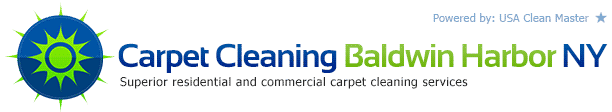 carpetcleaningbaldwinharbor.com